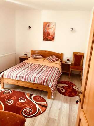 Гостевой дом Casa Andra Слэник-Молдова Двухместный номер с 1 кроватью и собственной ванной комнатой-1
