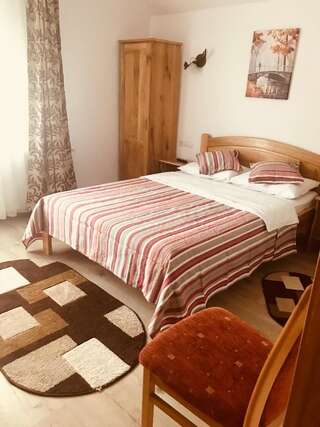Гостевой дом Casa Andra Слэник-Молдова Двухместный номер с 1 кроватью и собственной ванной комнатой-6