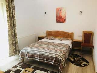 Гостевой дом Casa Andra Слэник-Молдова Двухместный номер с 1 кроватью и собственной ванной комнатой-10