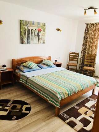 Гостевой дом Casa Andra Слэник-Молдова Двухместный номер с 1 кроватью и собственной ванной комнатой-26